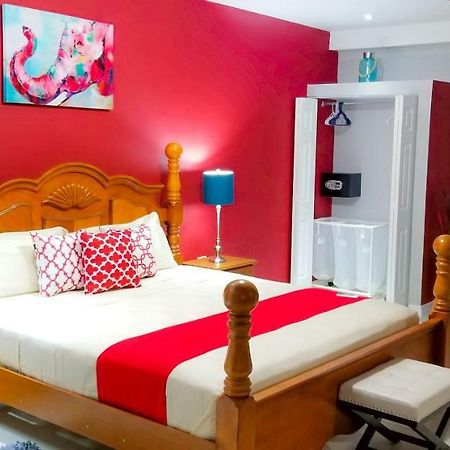 קינגסטון Casa Tamar Guest Apartment מראה חיצוני תמונה