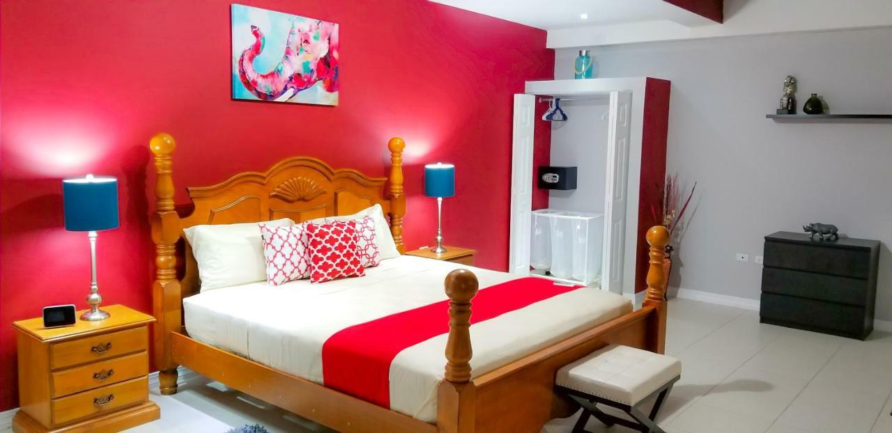 קינגסטון Casa Tamar Guest Apartment מראה חיצוני תמונה