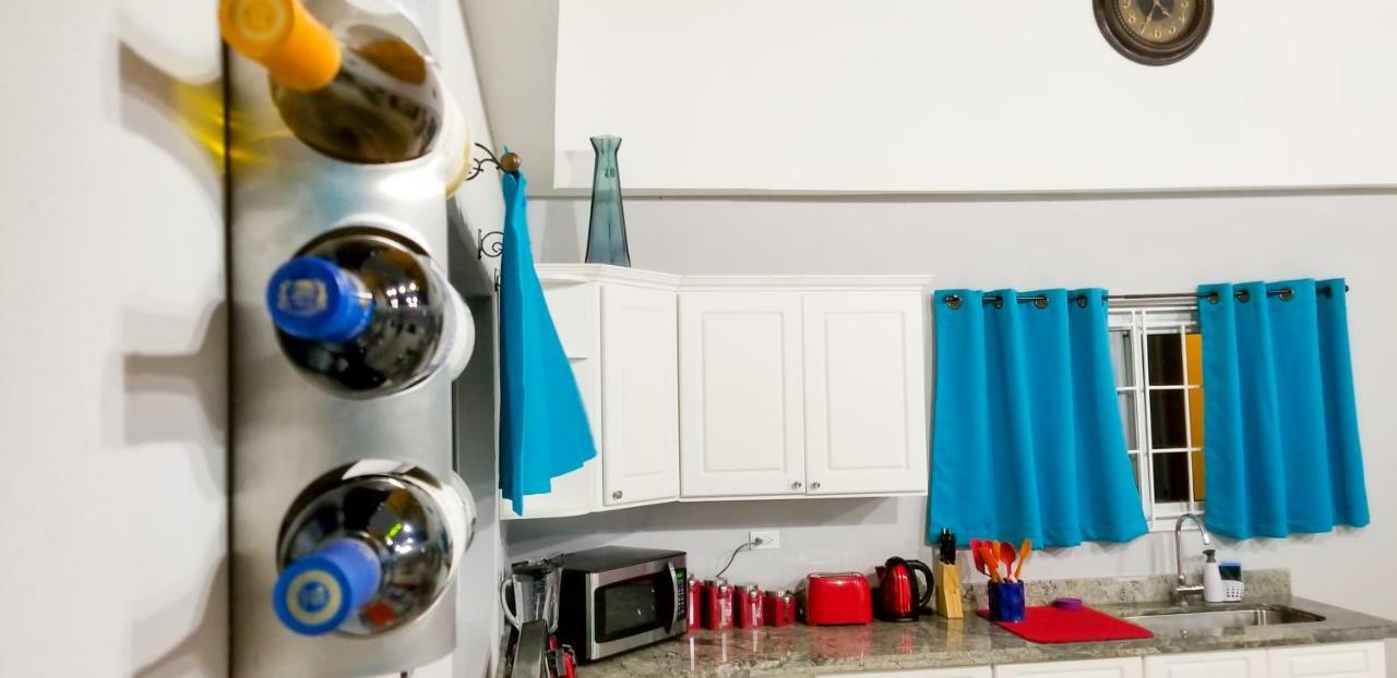 קינגסטון Casa Tamar Guest Apartment מראה חיצוני תמונה